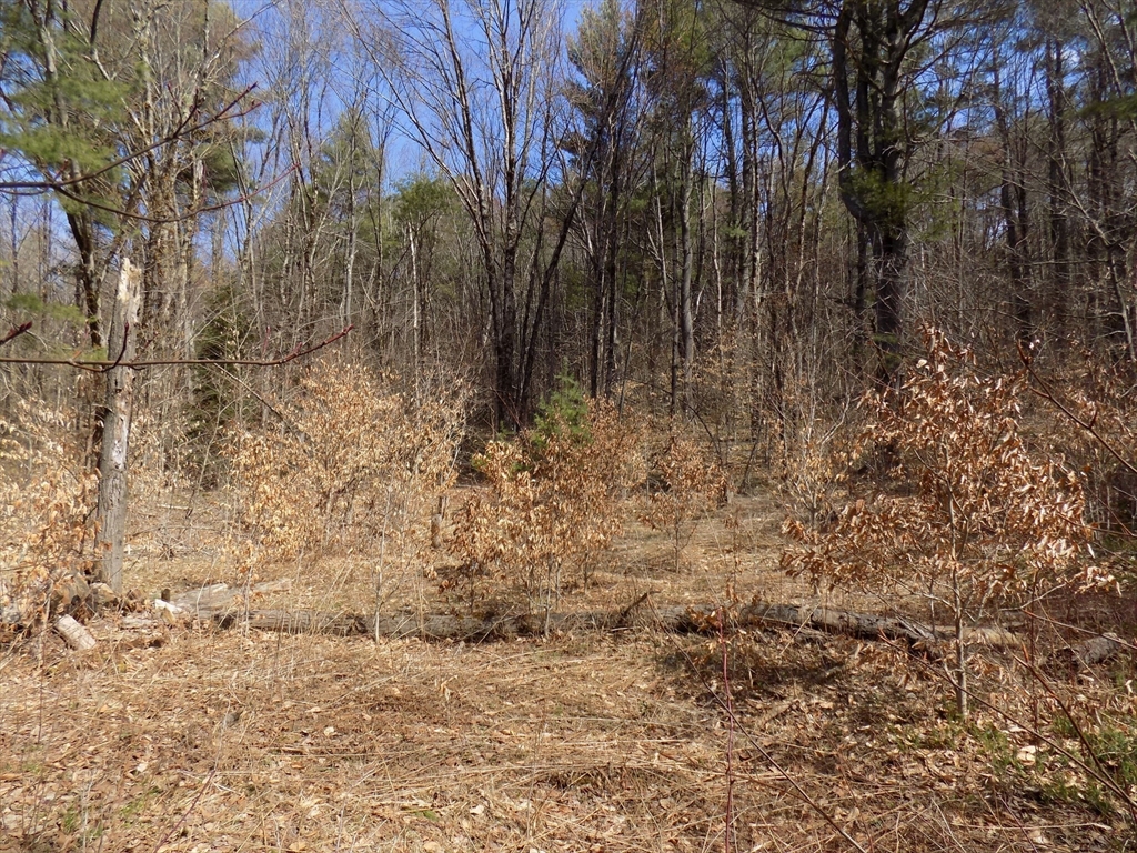 0 Summit Hill Road Becket, MA 01223 - Photo 8 of 15