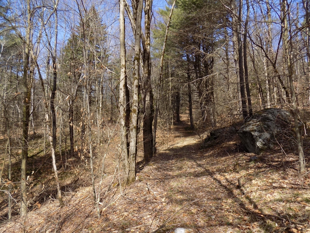 0 Summit Hill Road Becket, MA 01223 - Photo 9 of 15