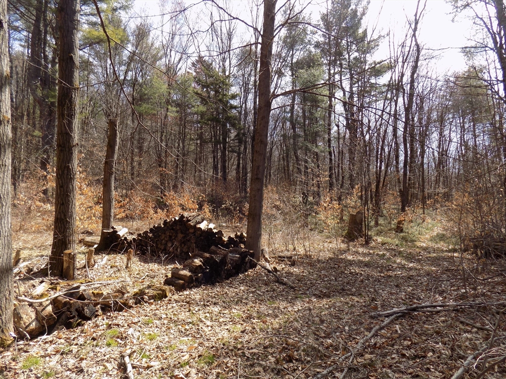 0 Summit Hill Road Becket, MA 01223 - Photo 10 of 15