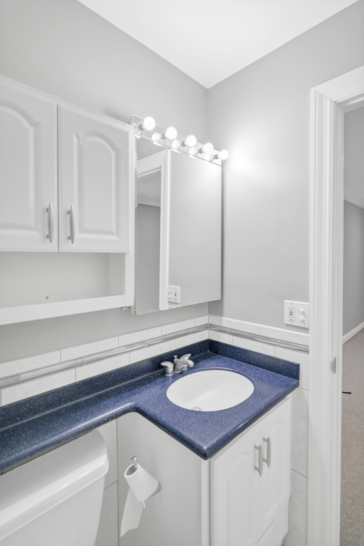 263 Driftwood Lane, Unit 2D Schaumburg, IL 60193 - Photo 13 of 19