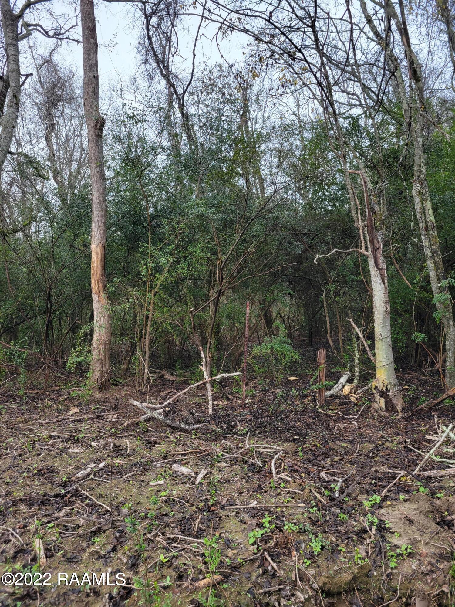 Tbd Wikoff Cove Drive Church Point, LA 70525 - Photo 1 of 2 20221209_083237
