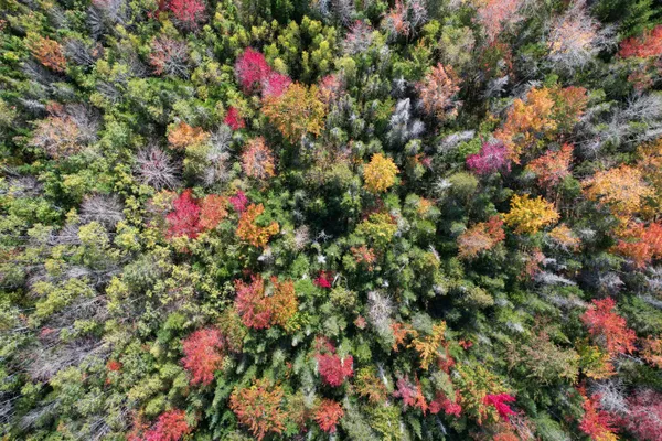 $105,000 | 535 Bert Gray Road, Sullivan, ME 04664