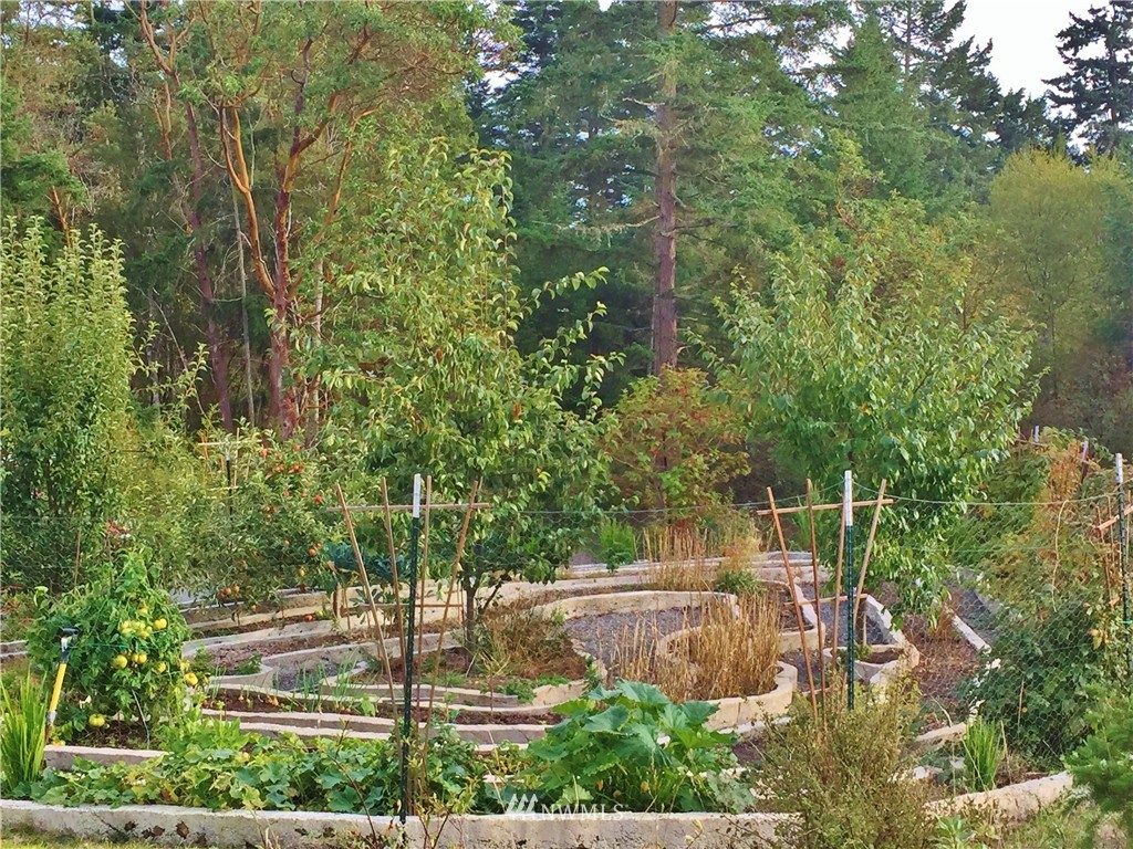 2260 Bailer Hill Road Friday Harbor, WA 98250 - Photo 17 of 23 Gallery Image 17