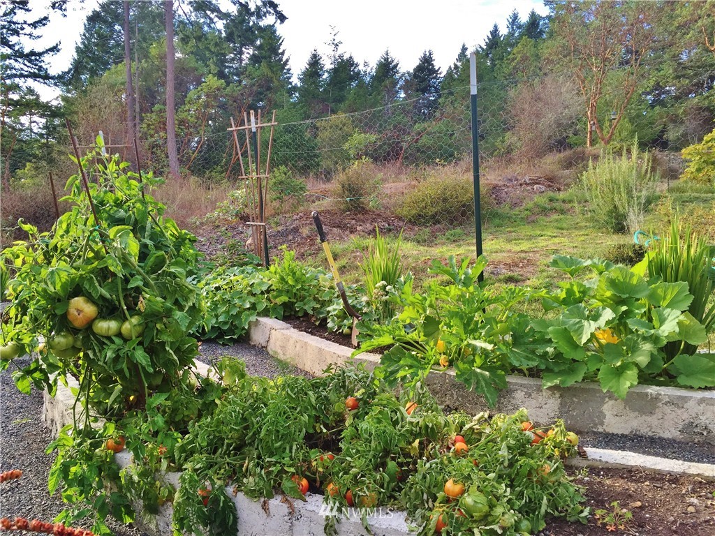 2260 Bailer Hill Road Friday Harbor, WA 98250 - Photo 21 of 23 Gallery Image 21