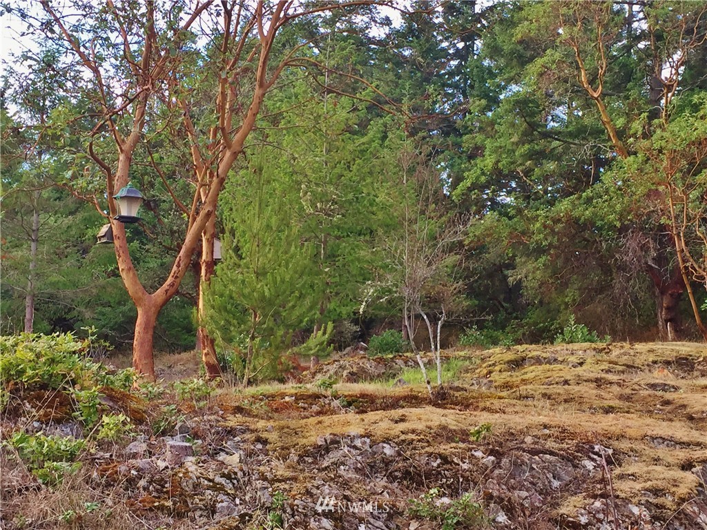 2260 Bailer Hill Road Friday Harbor, WA 98250 - Photo 6 of 23 Gallery Image 6