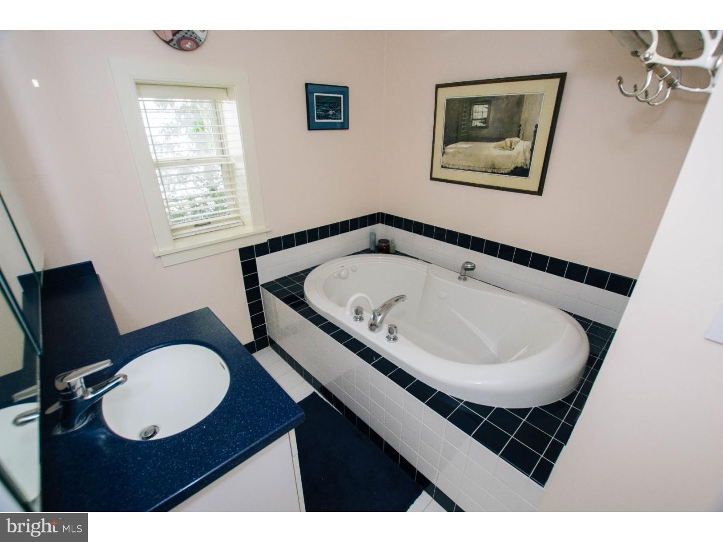 39 Airdale Road Rosemont, PA 19010 - Photo 19 of 24 Bathroom