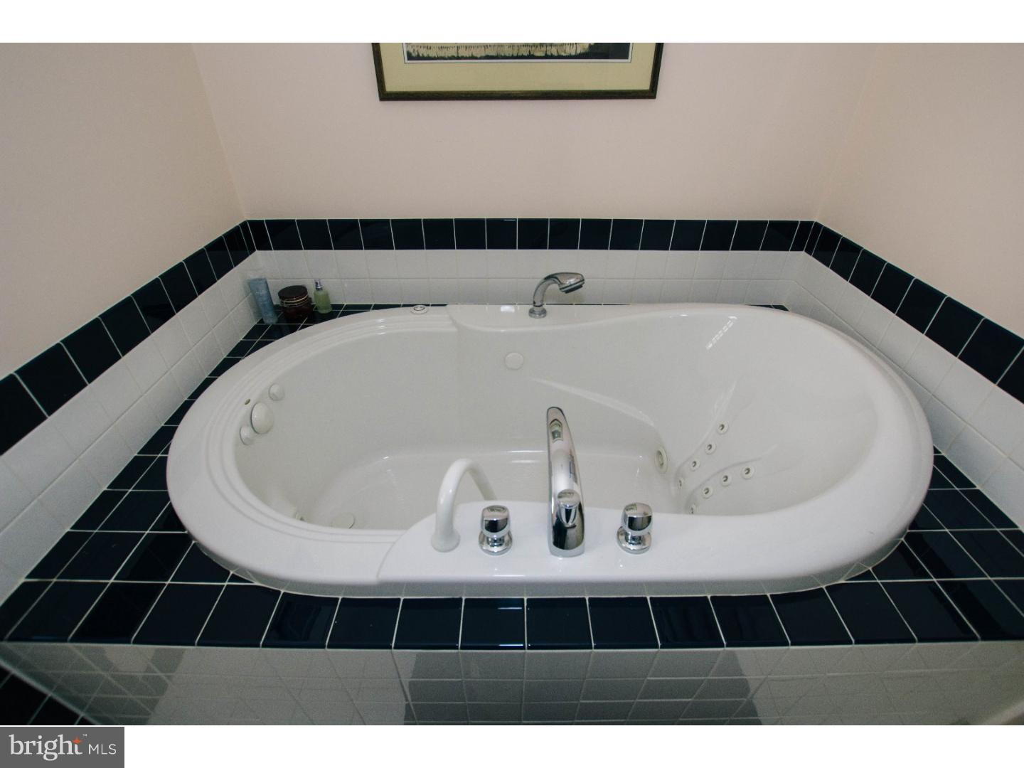 39 Airdale Road Rosemont, PA 19010 - Photo 20 of 24 Bathroom