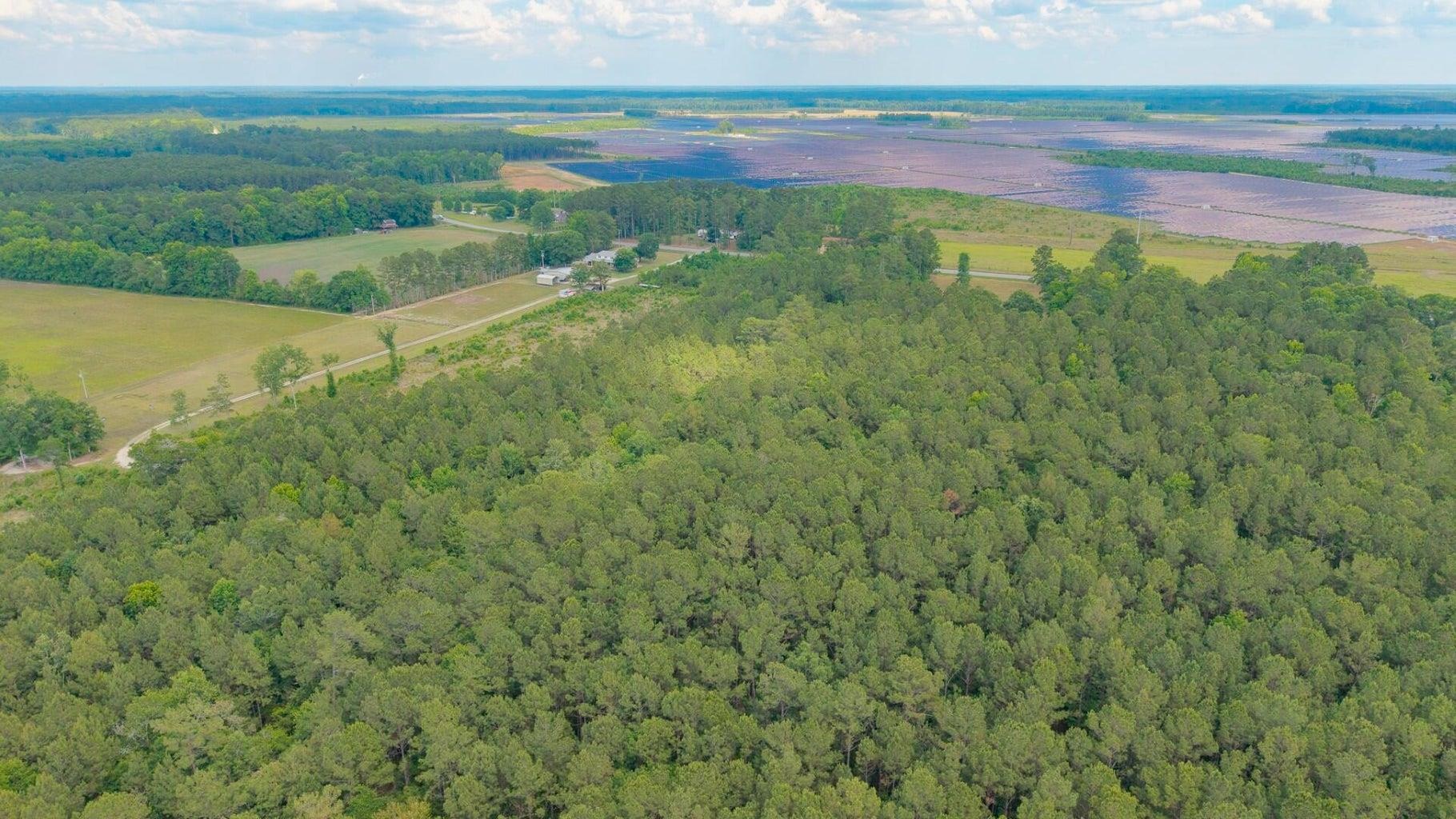 6222 Saints Delight Road Georgetown, SC 29440 - Photo 18 of 27