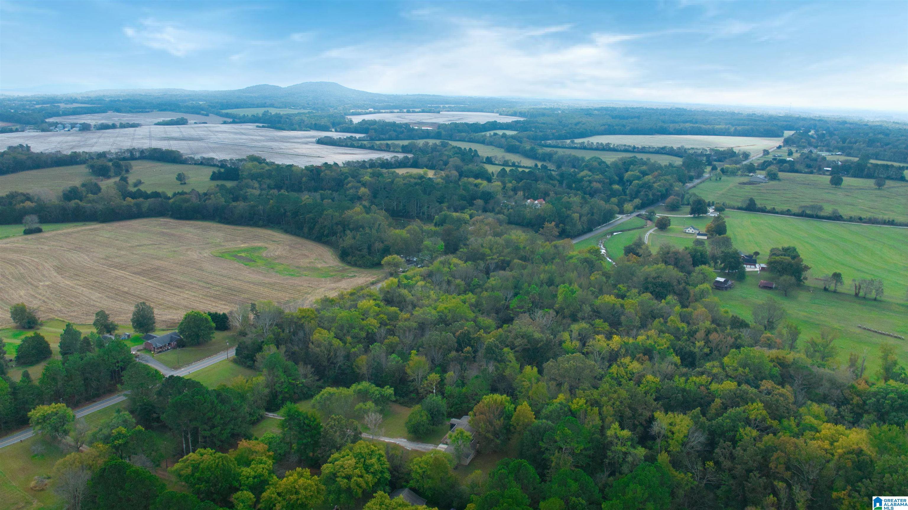 0 South Love Branch Road Toney, AL 35773 - Photo 5 of 26