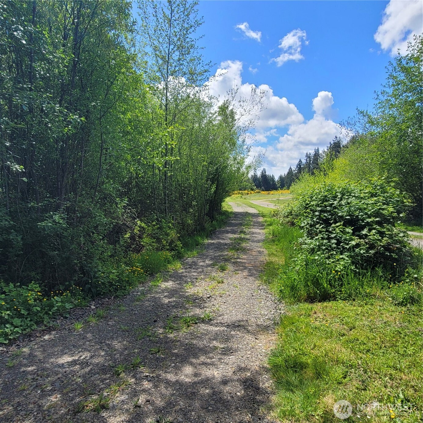 2332 Swansonville Road Port Ludlow, WA 98365 - Photo 3 of 15 Gallery Image 3