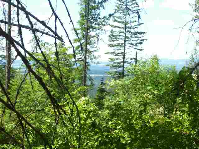0 North Day Mt Spokane Road Chattaroy, WA 99003 - Photo 3 of 9 Gallery Image 3