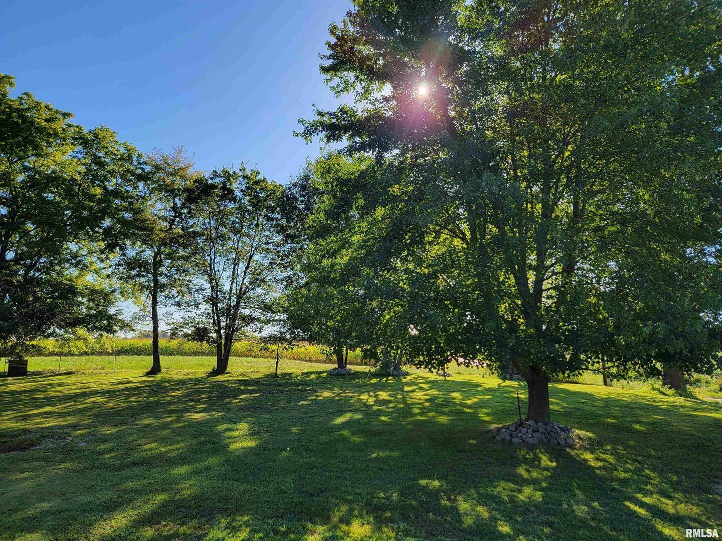 2517 Cherrybark Lane Flora, IL 62839 - Photo 13 of 99 a view of a trees in a yard