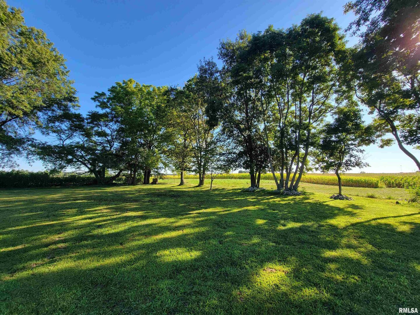 2517 Cherrybark Lane Flora, IL 62839 - Photo 17 of 99