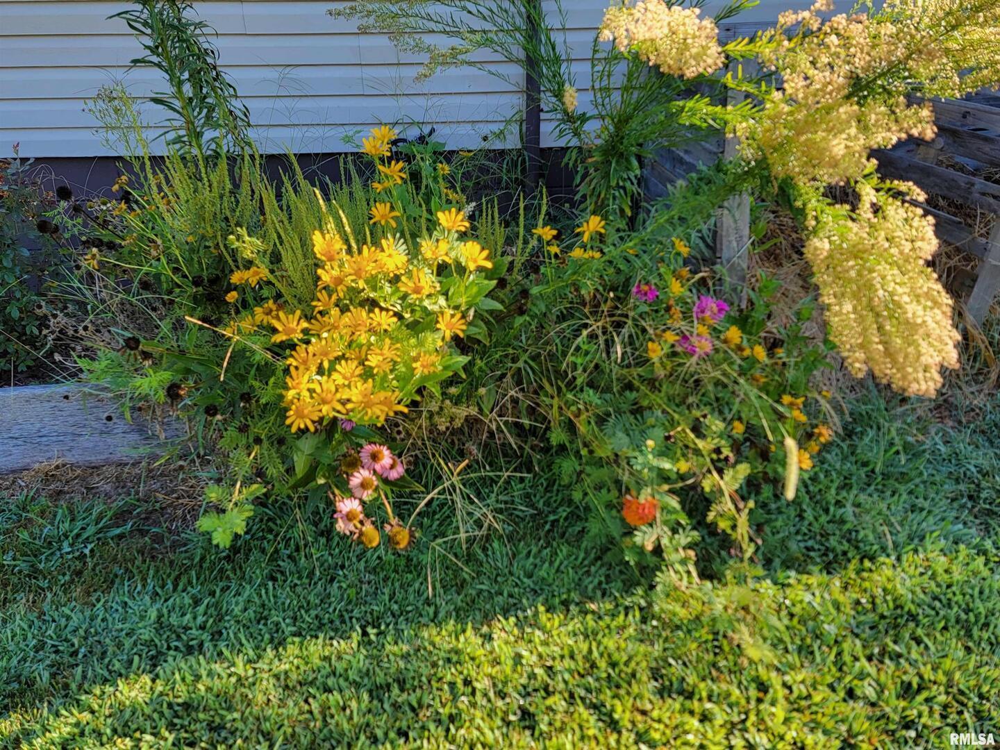 2517 Cherrybark Lane Flora, IL 62839 - Photo 20 of 99 a view of a plant in a garden
