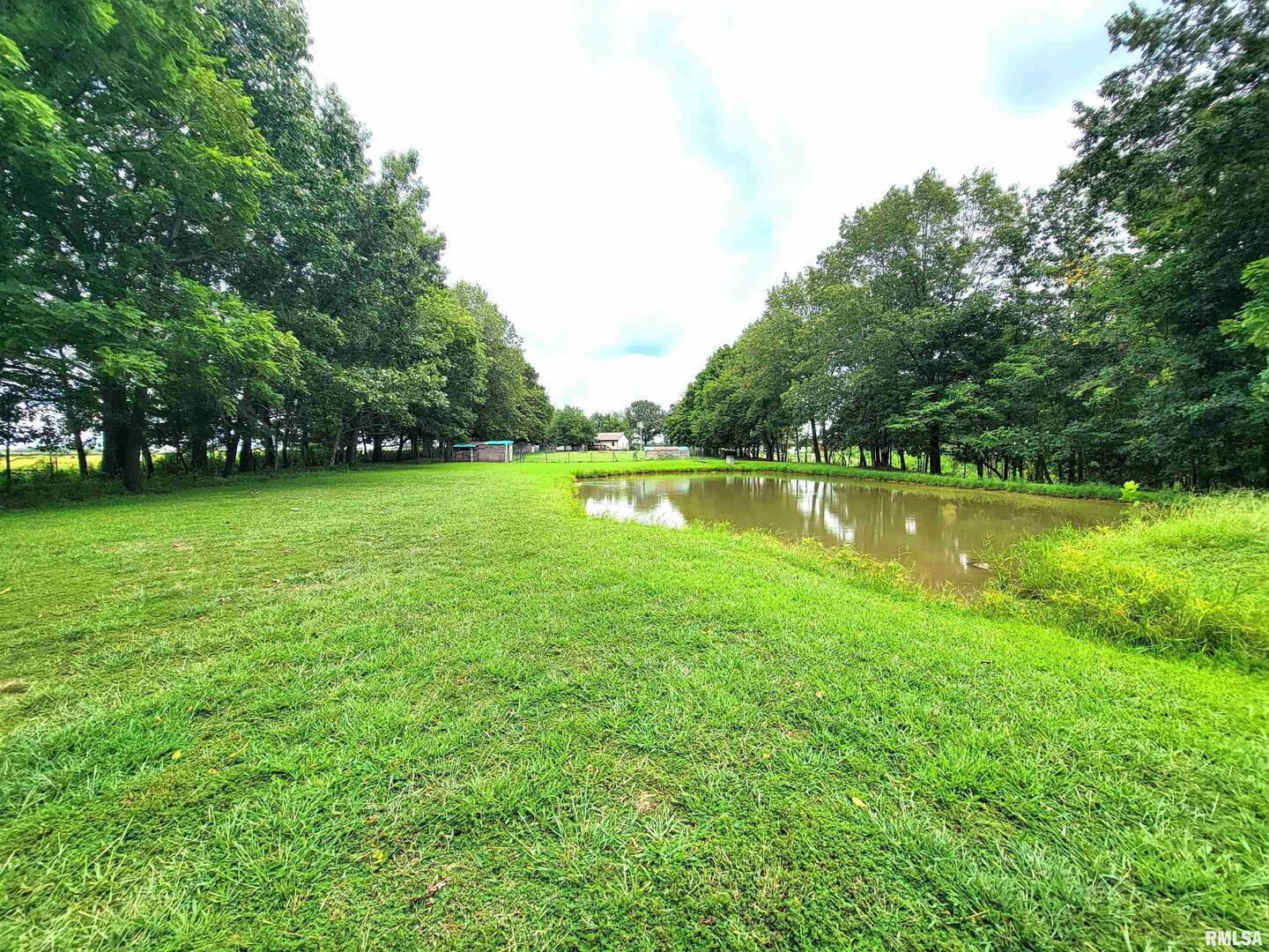 2517 Cherrybark Lane Flora, IL 62839 - Photo 5 of 99 a view of a lake with a big yard