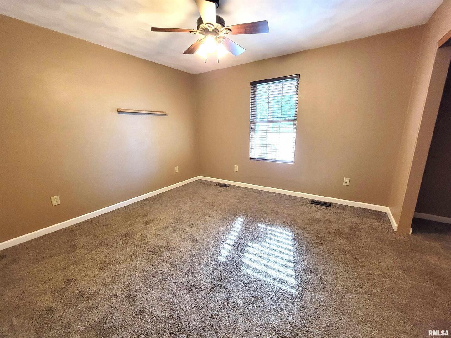 2517 Cherrybark Lane Flora, IL 62839 - Photo 71 of 99