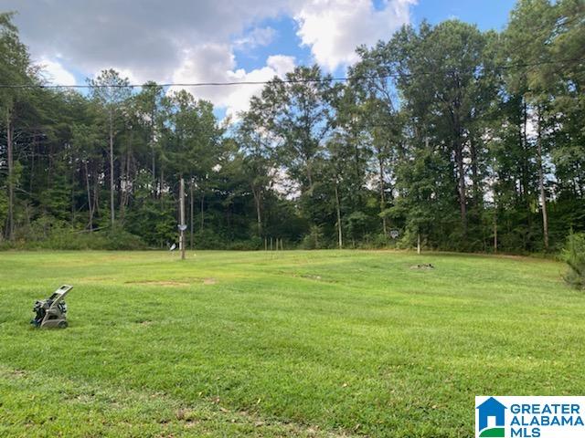 12272 Davis Creek Road McCalla, AL 35111 - Photo 21 of 21