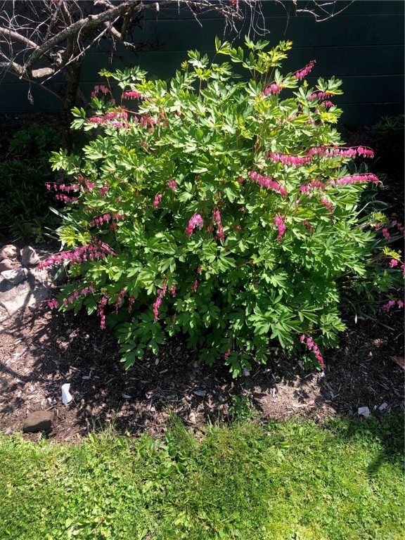 556 Main Street Ledyard, NY 13026 - Photo 38 of 45