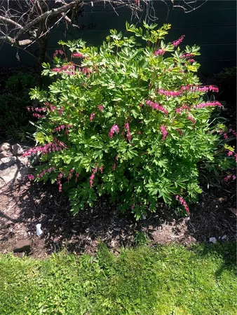 $485,900 | 556 Main Street, Ledyard, NY 13026