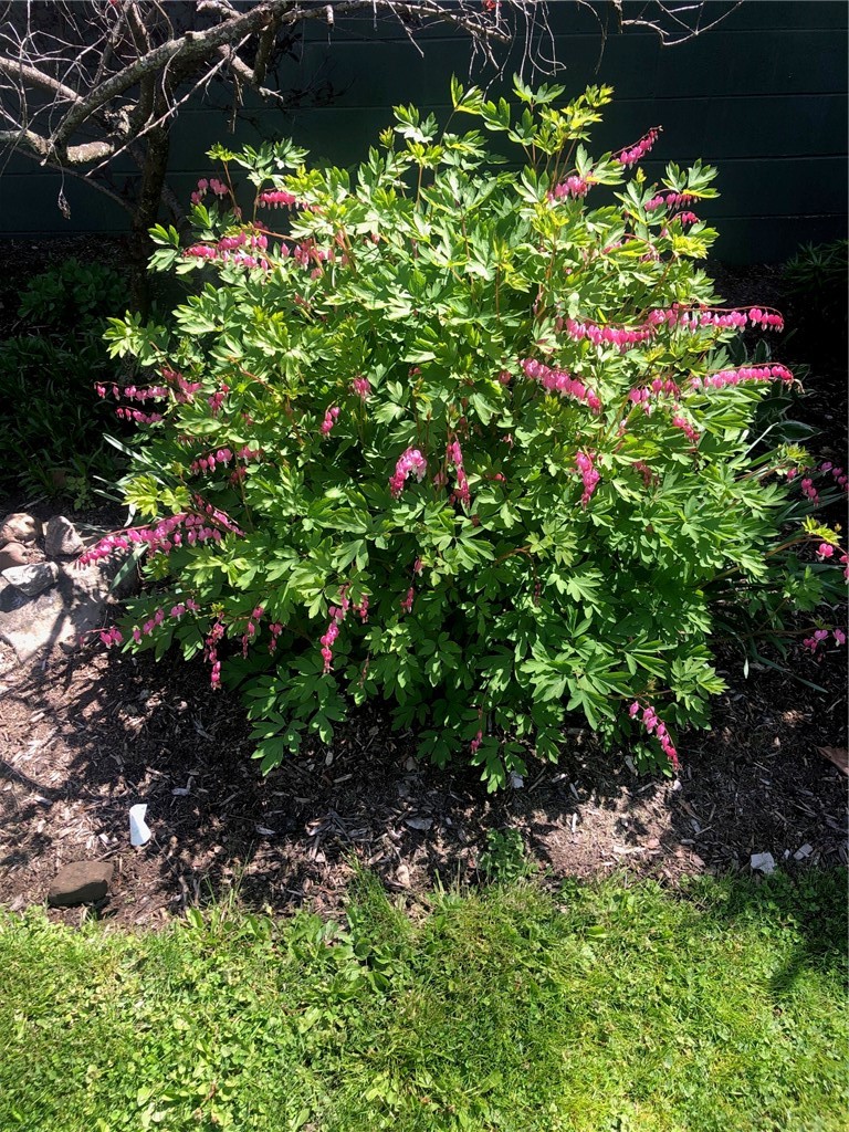 556 Main Street Ledyard, NY 13026 - Photo 38 of 45