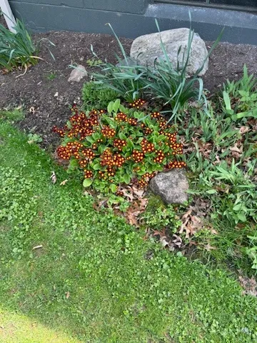 $485,900 | 556 Main Street, Ledyard, NY 13026