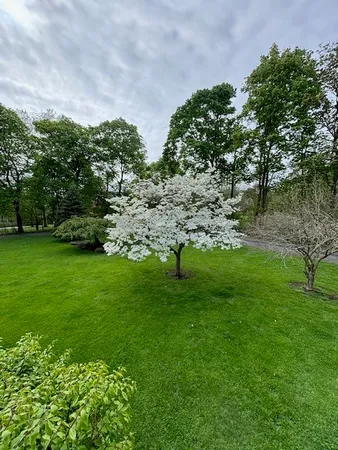 $485,900 | 556 Main Street, Ledyard, NY 13026