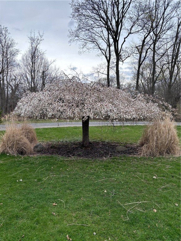 556 Main Street Ledyard, NY 13026 - Photo 45 of 45