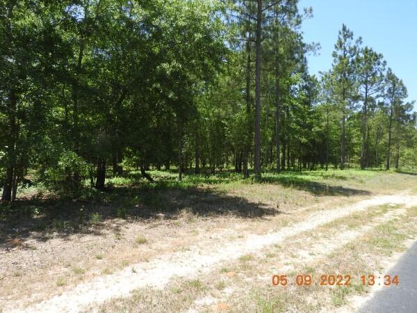 18 Eventing Way Beech Island, SC 29842 - Photo 3 of 4