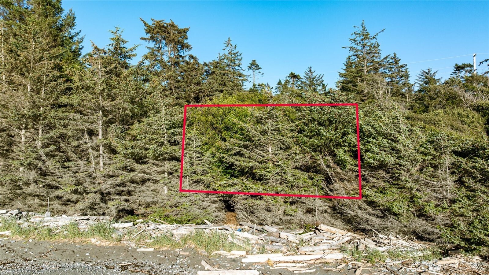 0 West Beach Road Oak Harbor, WA 98277 - Photo 4 of 32
