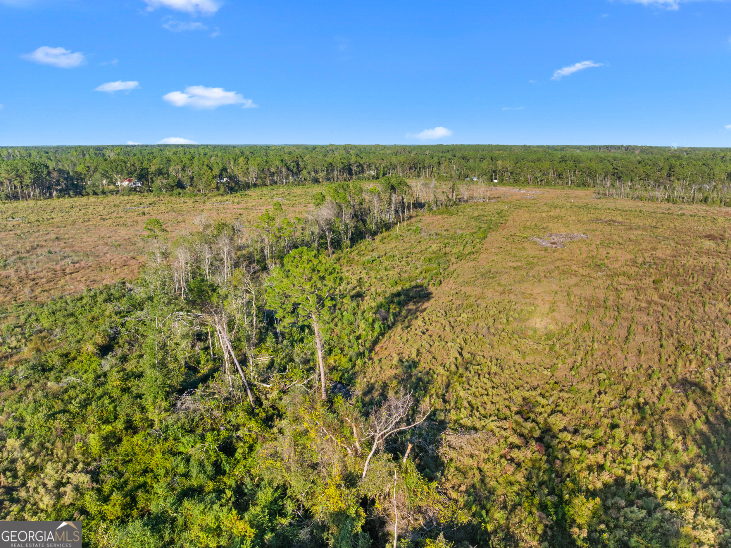 0 Central Avenue Metter, GA 30439 - Photo 11 of 13