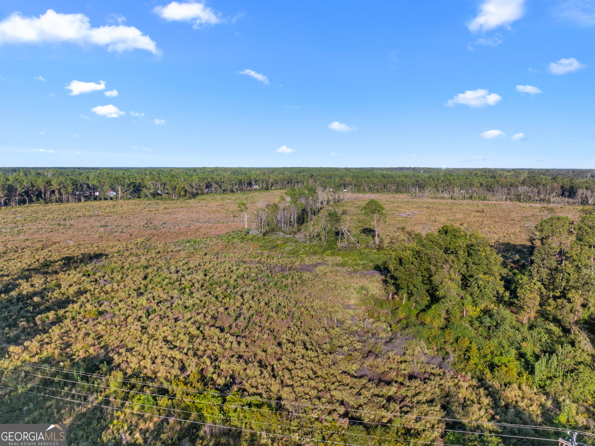 0 Central Avenue Metter, GA 30439 - Photo 12 of 13