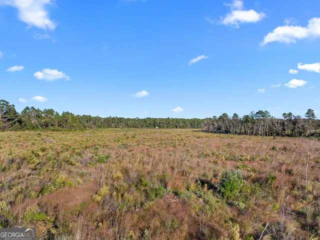 $985,000 | 0 Central Avenue, Metter, GA 30439