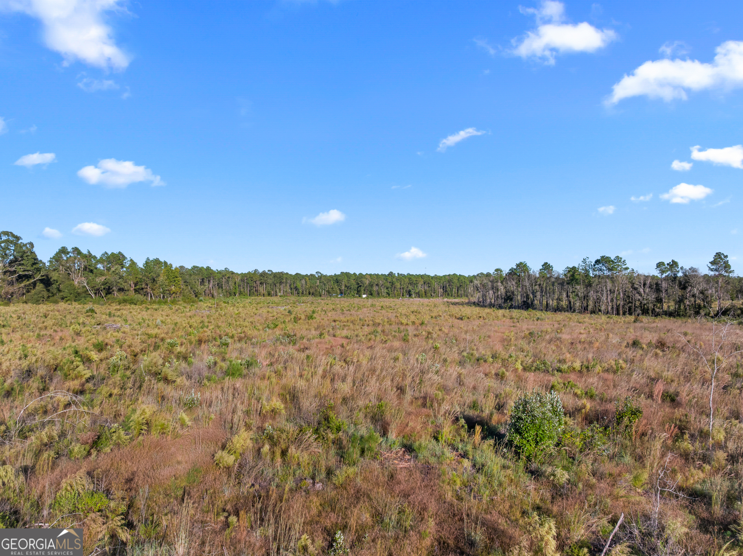 0 Central Avenue Metter, GA 30439 - Photo 13 of 13