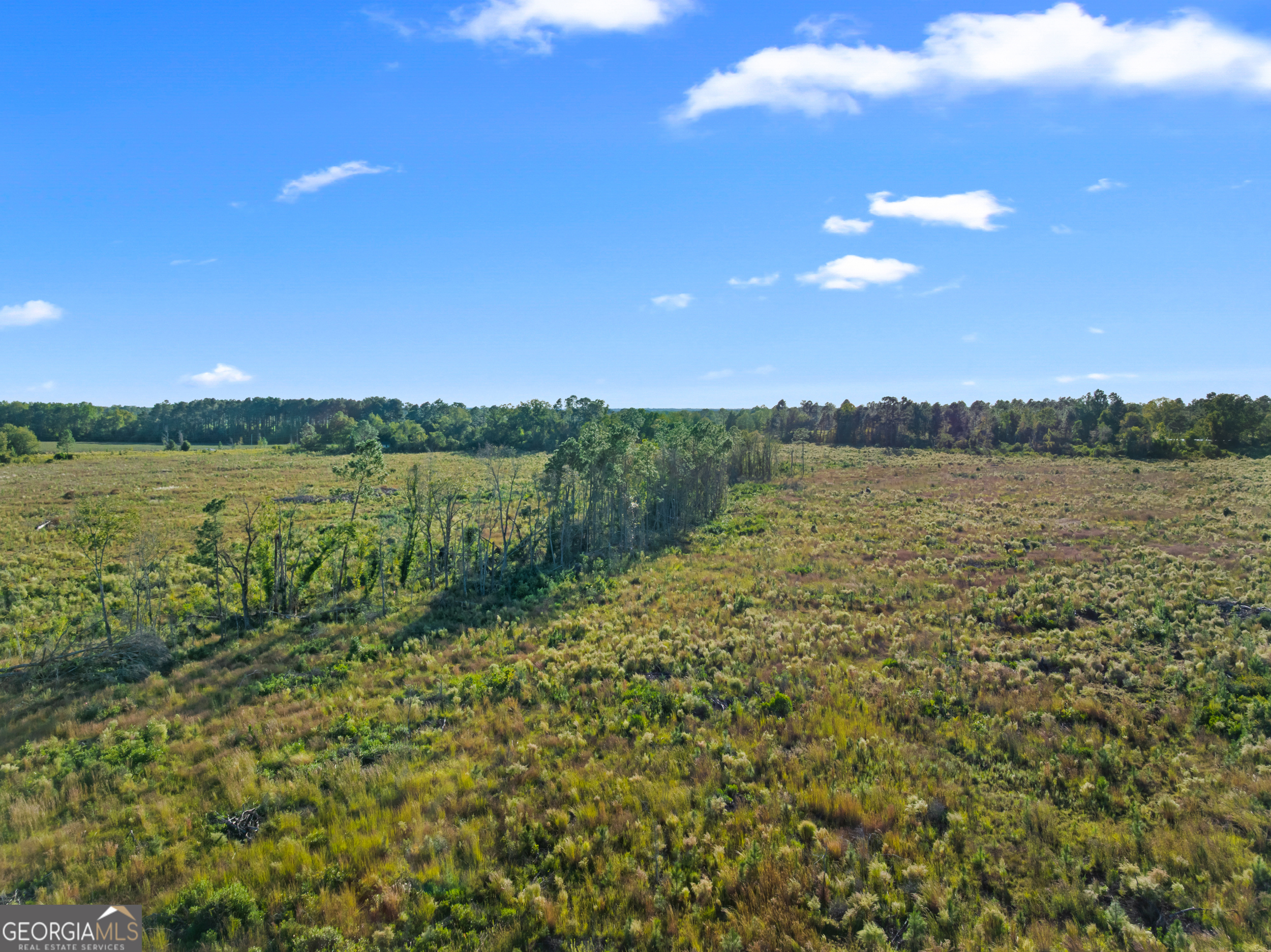 0 Central Avenue Metter, GA 30439 - Photo 9 of 13