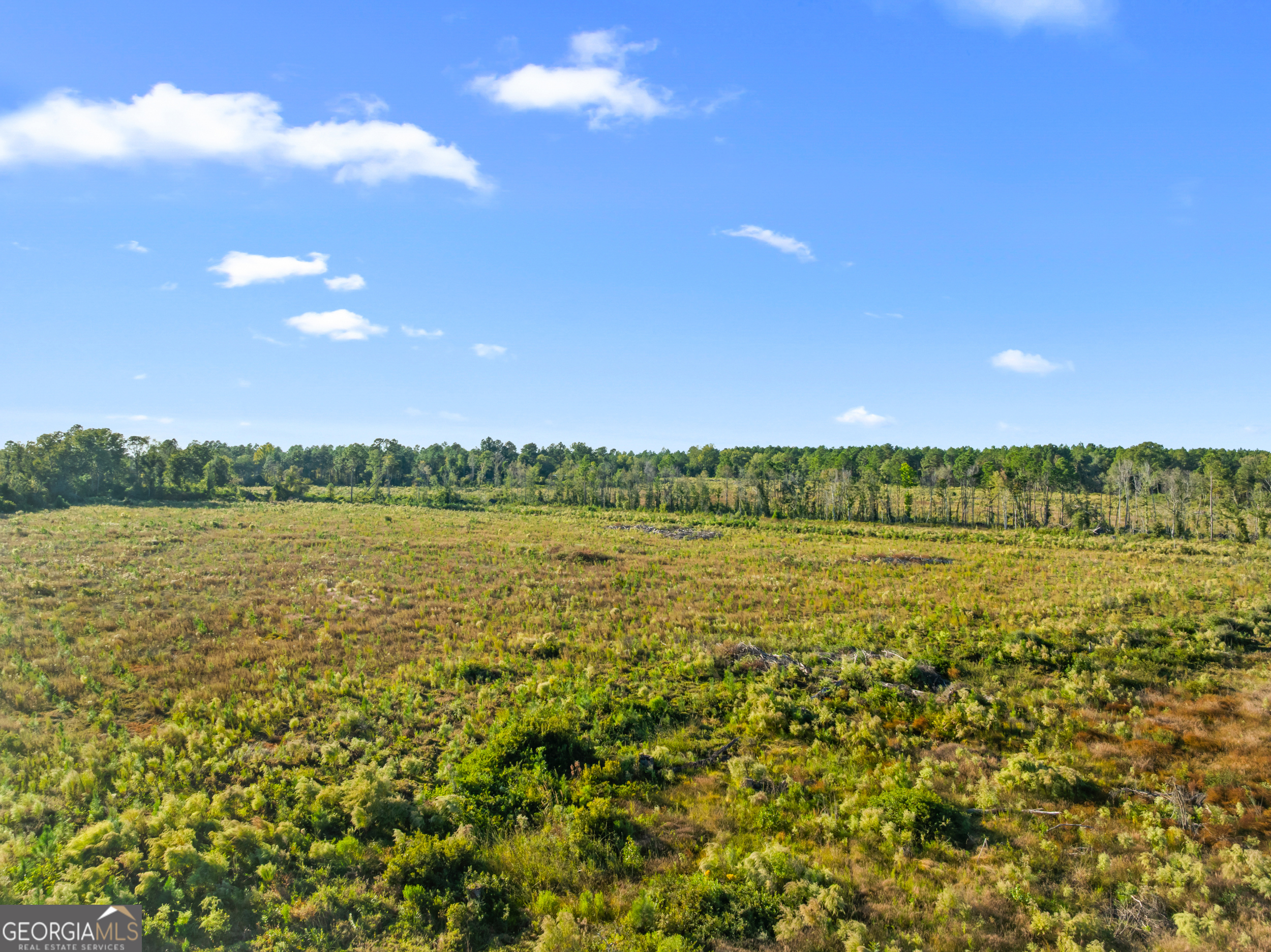 0 Central Avenue Metter, GA 30439 - Photo 10 of 13