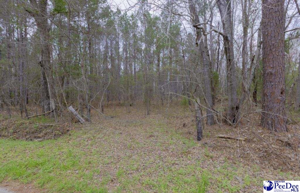 0 Spamm Road Salters, SC 29590 - Photo 6 of 6 Gallery Image 6
