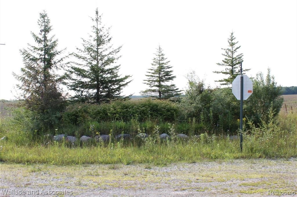 Lot 4 McIntyre Road North Street, MI 48049 - Photo 2 of 14