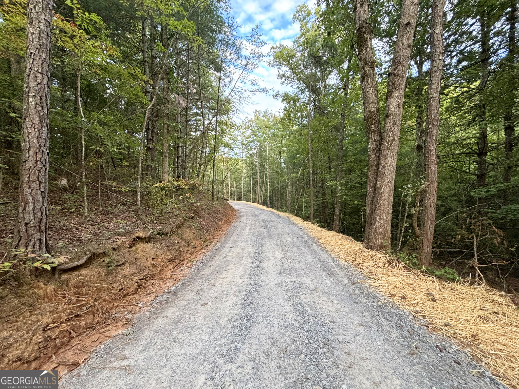 396 Mt Springer Road Ellijay, GA 30540 - Photo 28 of 50
