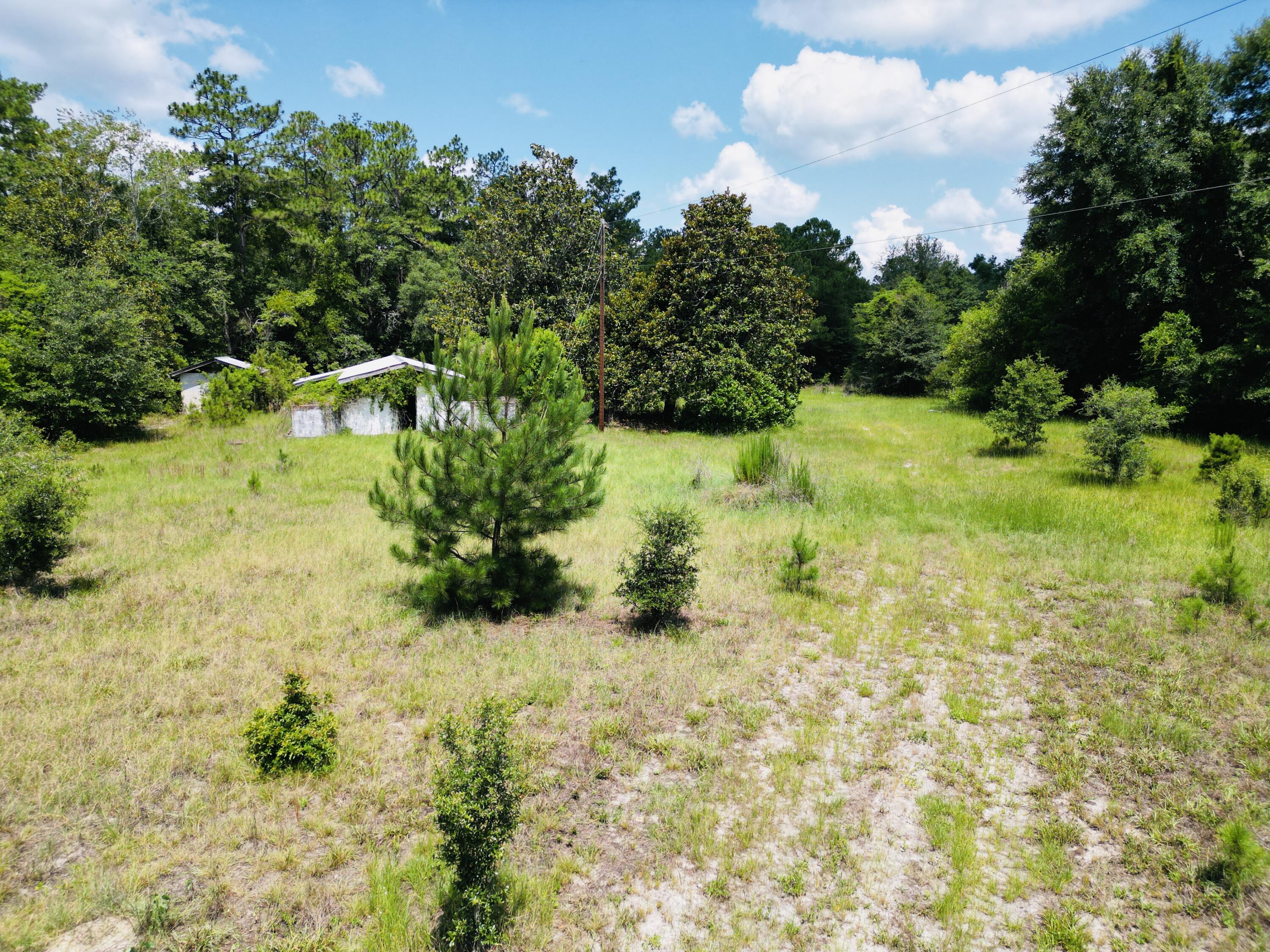 486 Sandhill Road Dorchester, SC 29437 - Photo 33 of 37 32