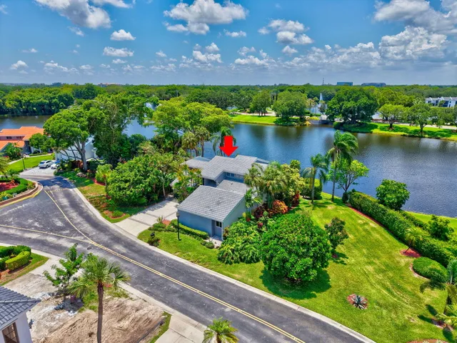 a view of a yard with a palm trees