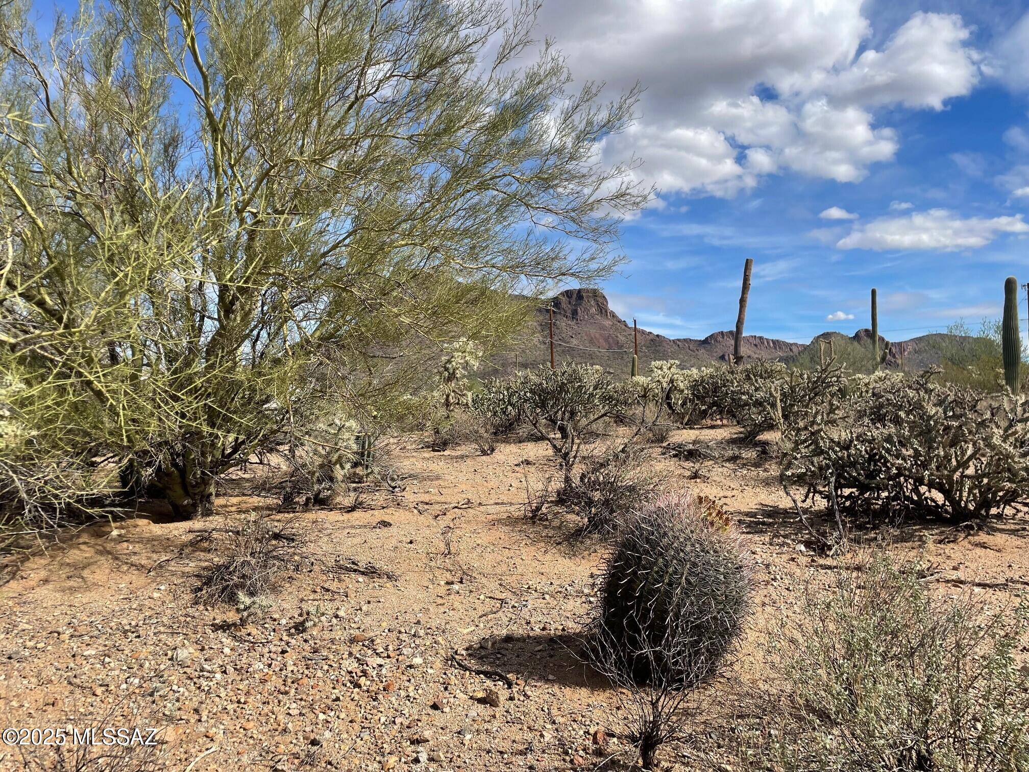 Tbd North Tbd N Van Ark Road Tucson, AZ 85743 - Photo 4 of 14