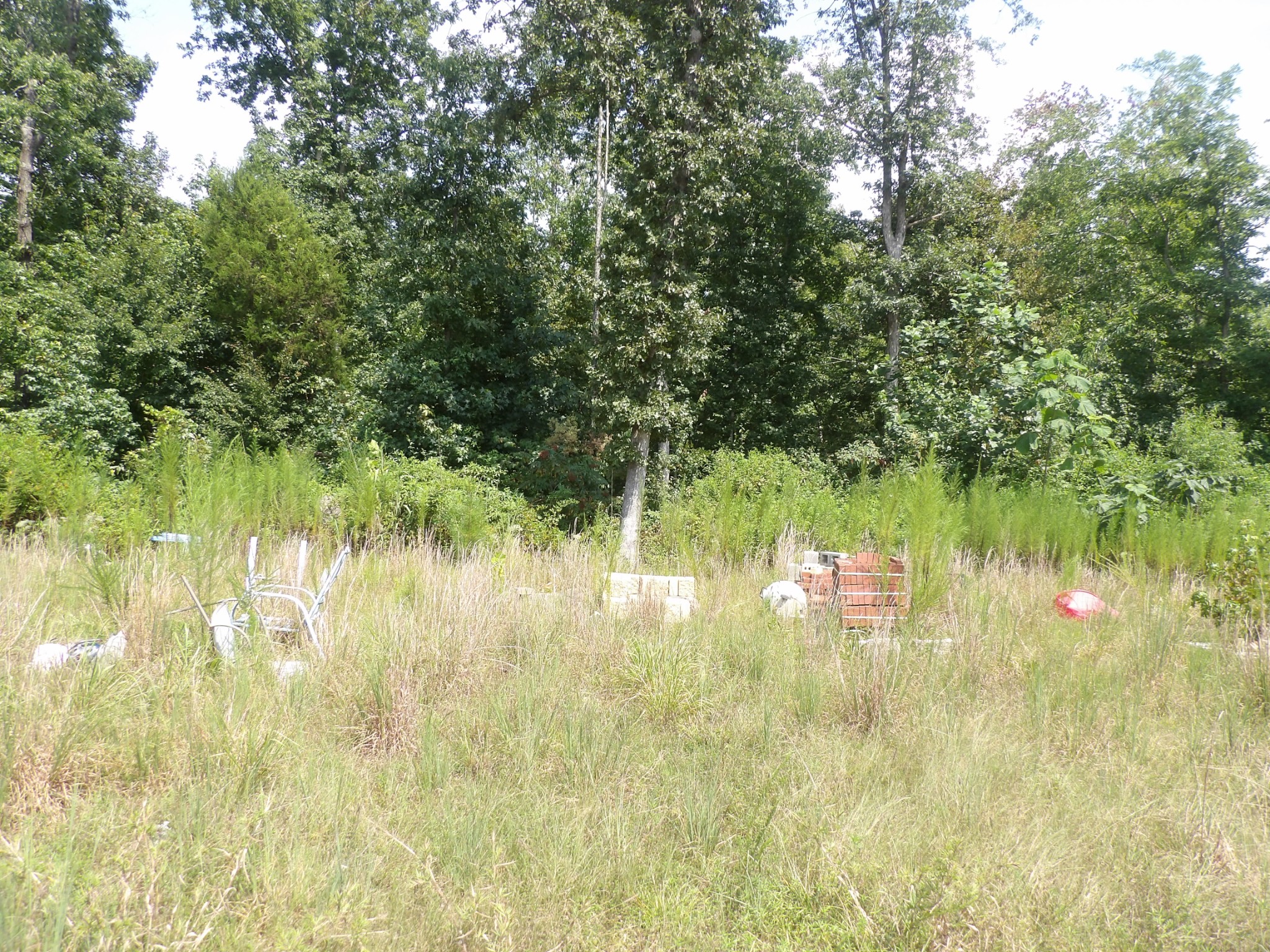 0 Old Union Church Road Holladay, TN 38341 - Photo 19 of 22 Gallery Image 19