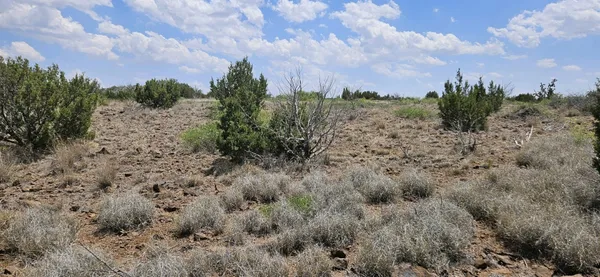 $360,000 | 0 Dark Sky Lane, Alpine, TX 79832