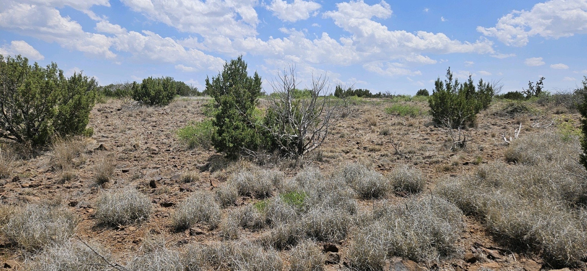 0 Dark Sky Lane Alpine, TX 79832 - Photo 2 of 10