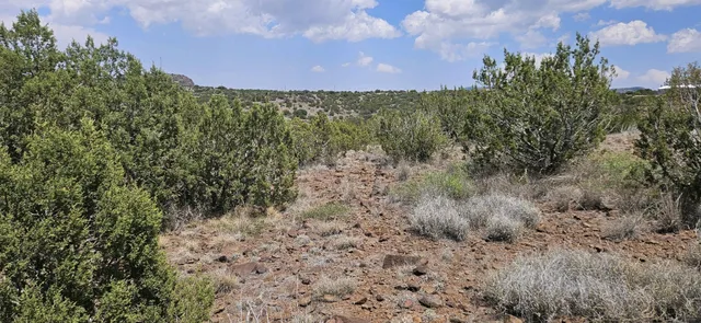 $360,000 | 0 Dark Sky Lane, Alpine, TX 79832