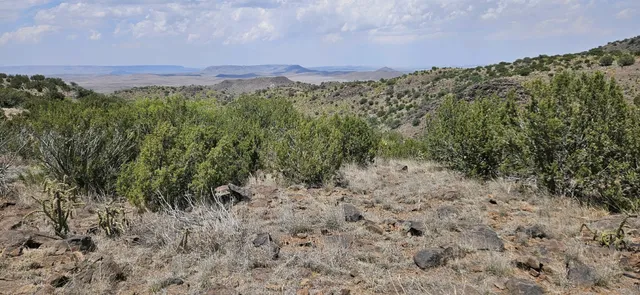 $360,000 | 0 Dark Sky Lane, Alpine, TX 79832