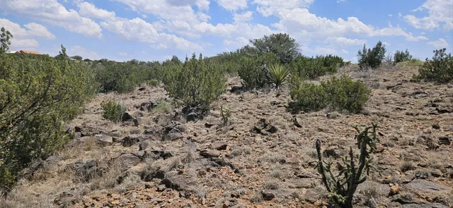 $360,000 | 0 Dark Sky Lane, Alpine, TX 79832