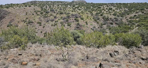$360,000 | 0 Dark Sky Lane, Alpine, TX 79832