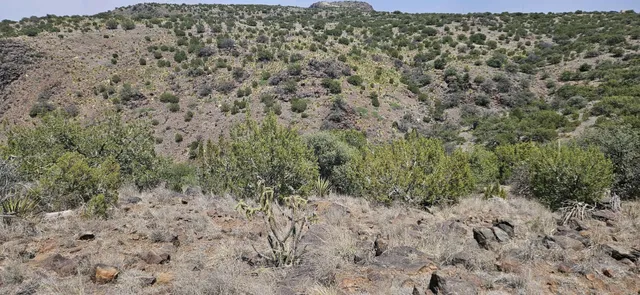 $360,000 | 0 Dark Sky Lane, Alpine, TX 79832
