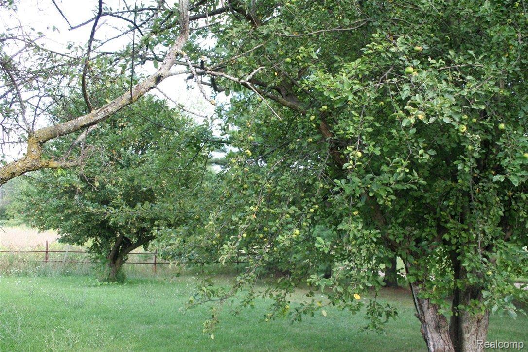 7329 Church Road Imlay City, MI 48444 - Photo 10 of 13 IMG_2152